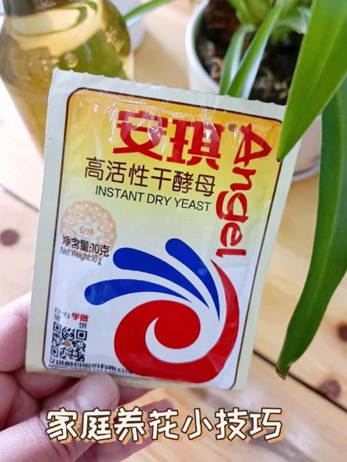 客户服务 第13页