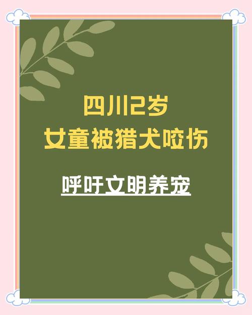 admin 第53页