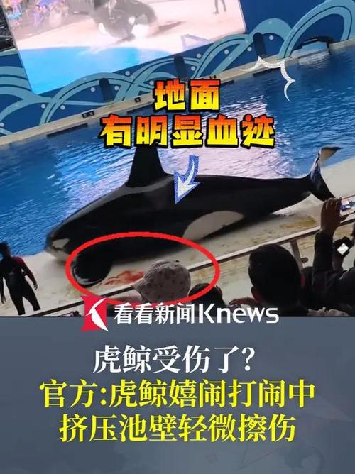 新闻中心 第11页