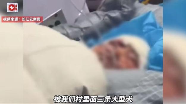 2025澳门特马开奖结果和7岁男孩遭3只犬撕咬与7岁男孩遭3只犬撕咬怎么办