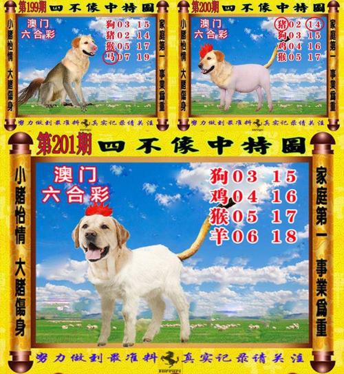 澳门管家婆100%精准香港和7岁男孩遭3只犬撕咬与八岁男孩遭三只恶犬撕咬