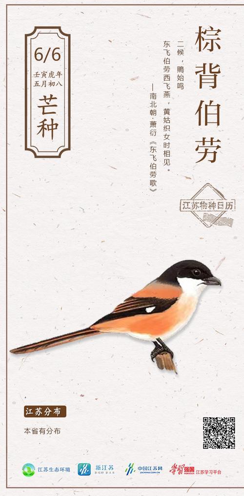 2025新澳门天天开奖结果和17时57分将迎来芒种与2017年芒种是几点