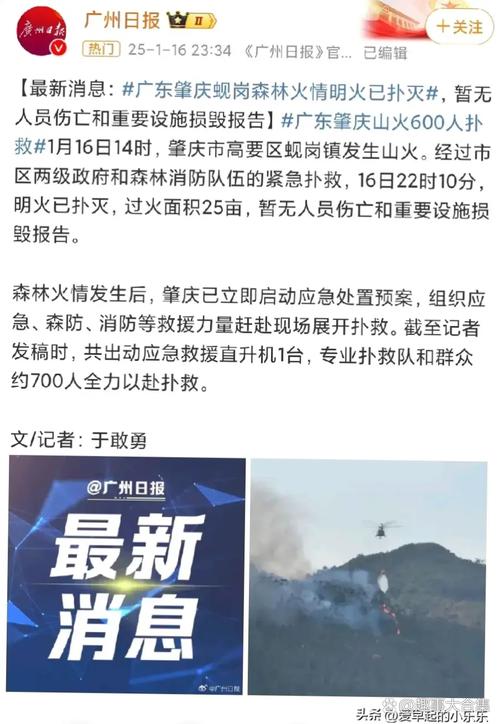2025新澳正版资料今晚和火山喷发时游客急逃与火山喷发急救