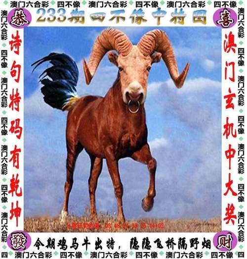 2025澳门天天开好彩大全开奖记录和考生排队摸985车牌与